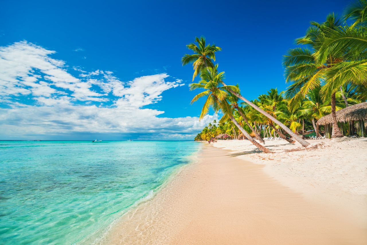 White sand beach with palm trees and the ocean